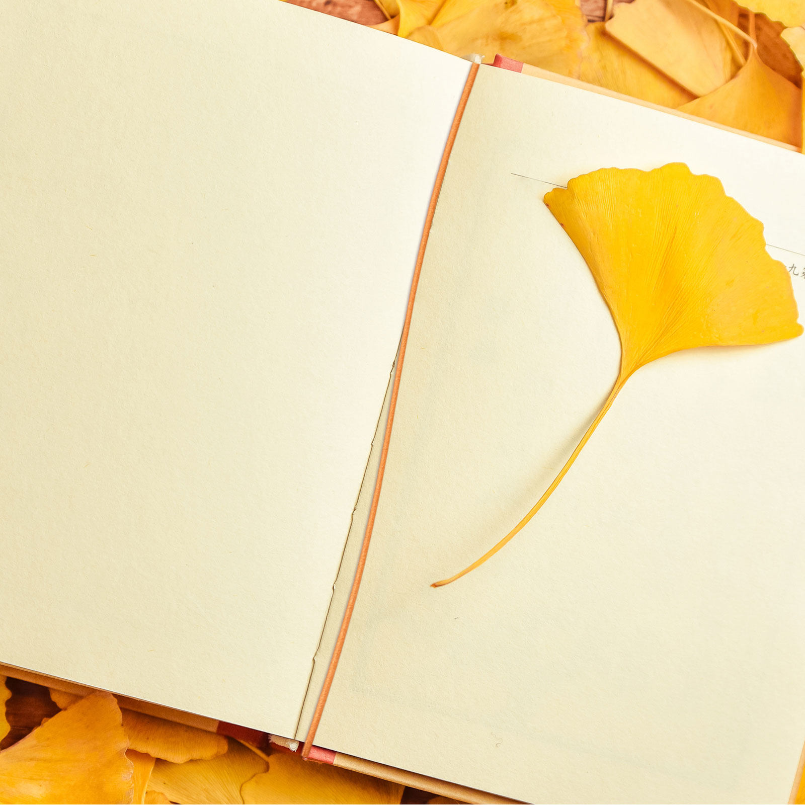 6 قطع من الأشرطة المرنة المصنو - مراجعة Travel Notebook Journal وسعره