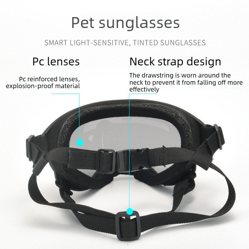 نظارات واقية للحيوانات الأليفة - مراجعة Travel Accessories Ideas وسعره